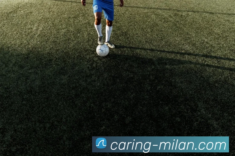 米兰官网服务体系